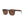 Load image into Gallery viewer, IAN | Tortoise | Brown Lens