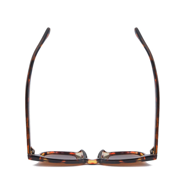 IAN | Tortoise | Brown Lens