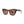 Load image into Gallery viewer, CARLA | Bone Tortoise | Tinted Reader