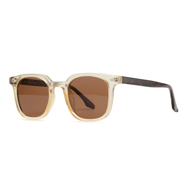 LUCIEN | Transparent Nude-Tortoise | Brown Lens