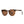 Load image into Gallery viewer, COLLIN | Tortoise | Brown Lens