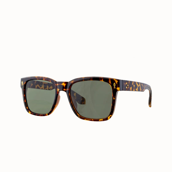 DAN | Tortoise | Green Lens