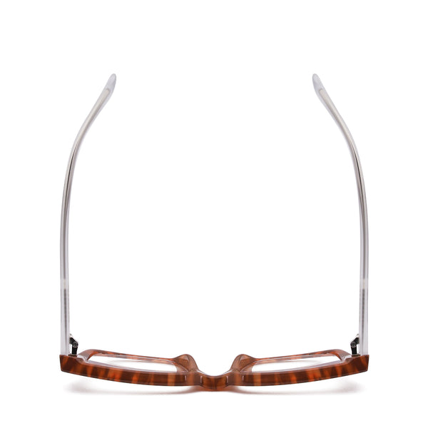 JONAH | Amber Tortoise | Transparent Matte Clear | Blue Light