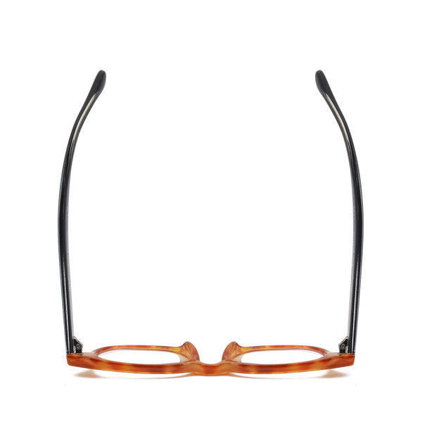 REY | Amber Tortoise | Black | Blue Light