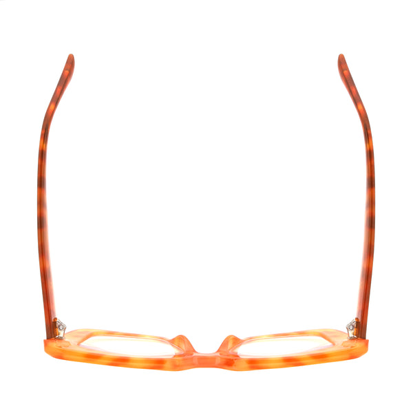 AVIV | Orange Tortoise | Blue Light