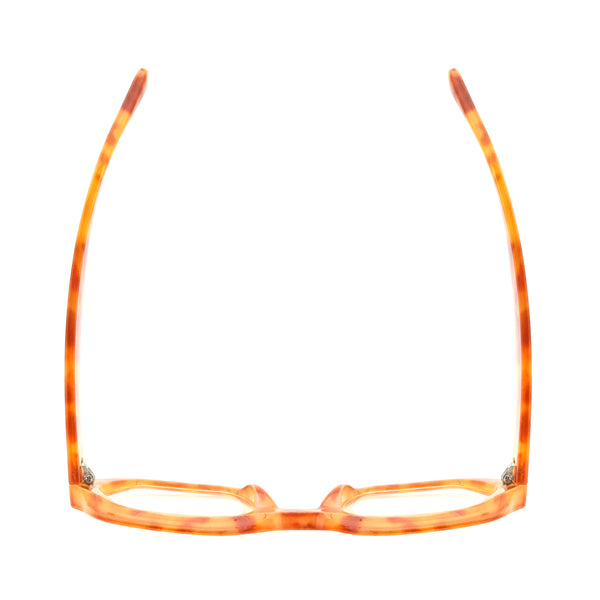 CANDICE | Amber Tortoise | Blue Light
