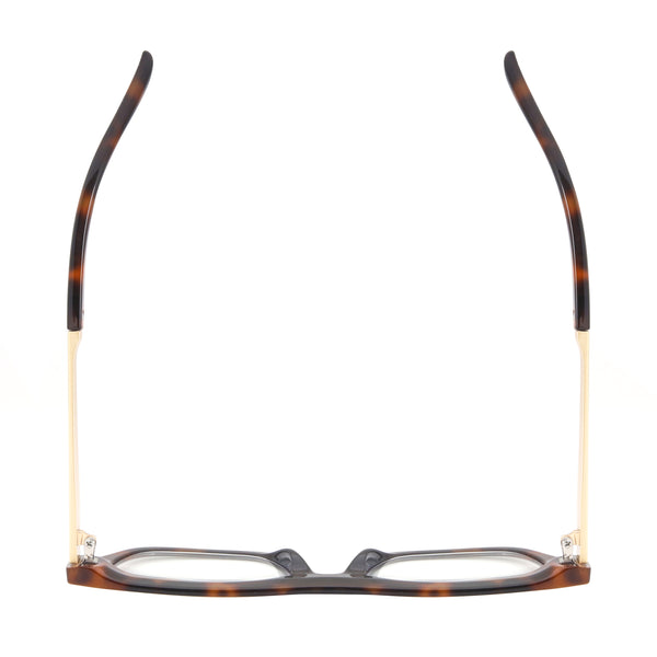 ALEXA | Tortoise |Gold | Blue Light