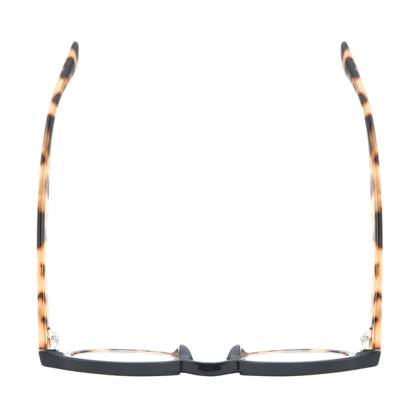 DAN | Black Tortoise  | Blue Light