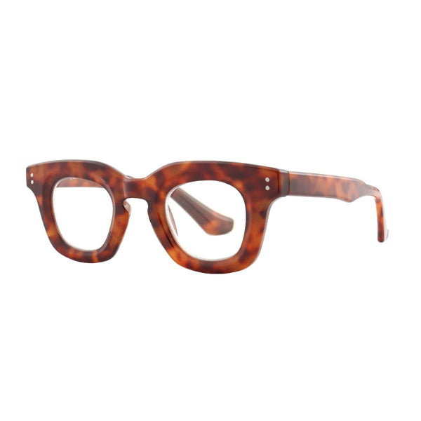 REX | Tortoise | Blue Light