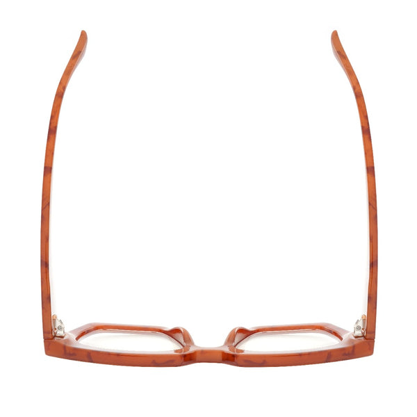 DANI | Amber Tortoise | Blue Light