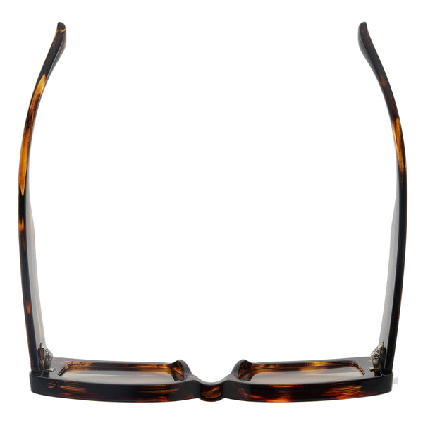EVA | Tortoise | Light Brown Lens