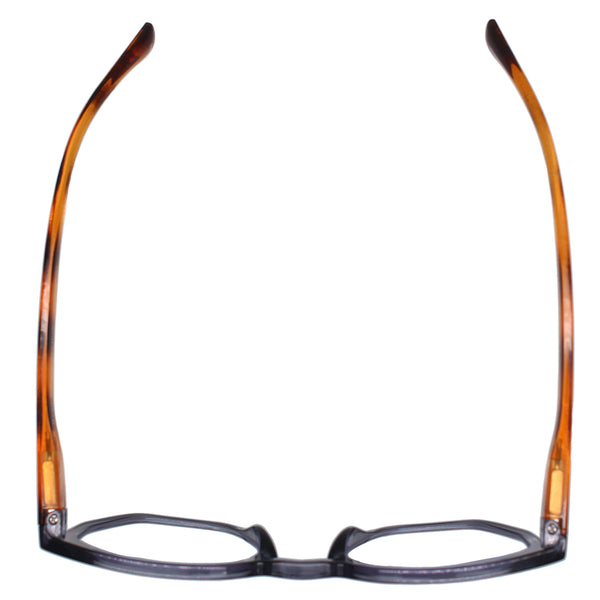 KASS | Transparent Grey| Brown Temples | Blue Light