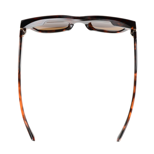 KELSEY |  Tortoise | Brown Lens