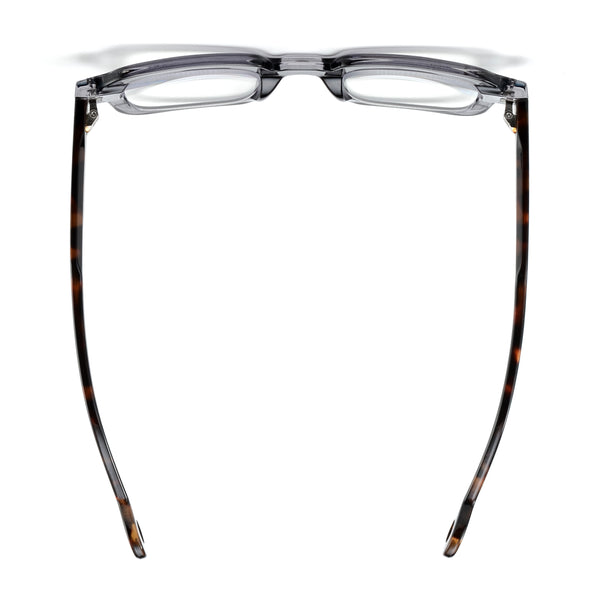 CAIN | Transparent Grey | Tortoise Temples | Blue Light