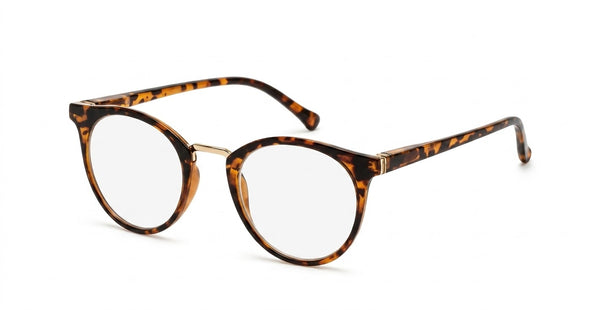 ROMY | Tortoise