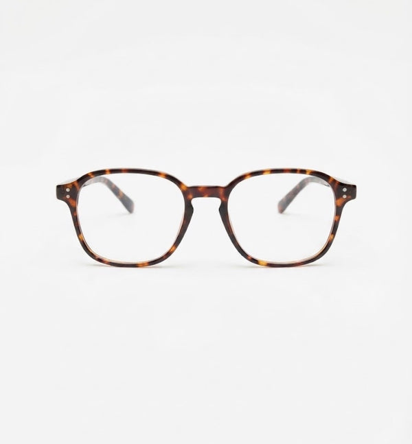 ZAZI | Tortoise