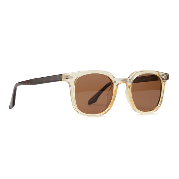 LUCIEN | Transparent Nude-Tortoise | Brown Lens