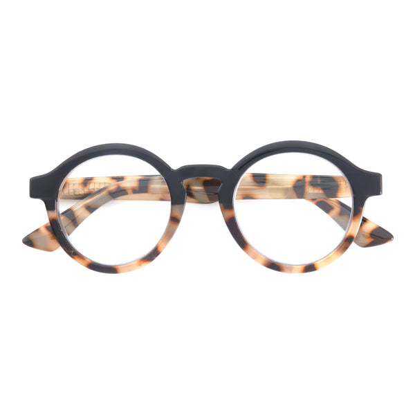 DAN | Black Tortoise  | Blue Light