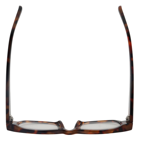 CHER | Tortoise | Blue Light