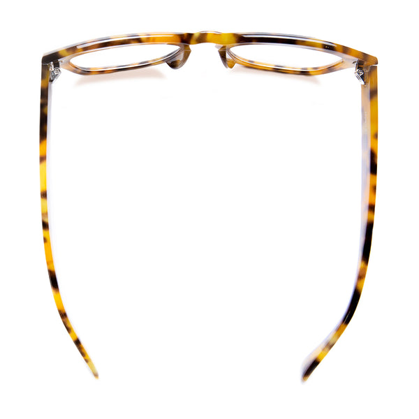 LUCA | Golden Tortoise | Blue Light
