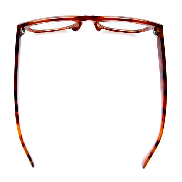 LUCA | Amber Tortoise