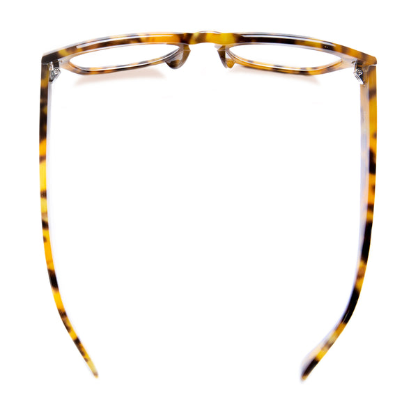 LUCA | Golden Tortoise